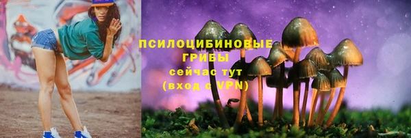 ECSTASY Остров
