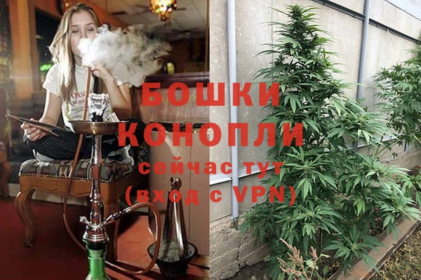 apvp Осинники