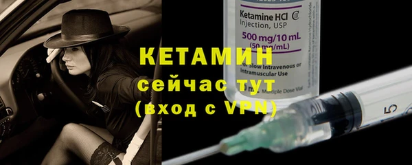 ешки Болотное