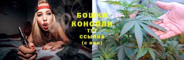 ПСИЛОЦИБИНОВЫЕ ГРИБЫ Пестово