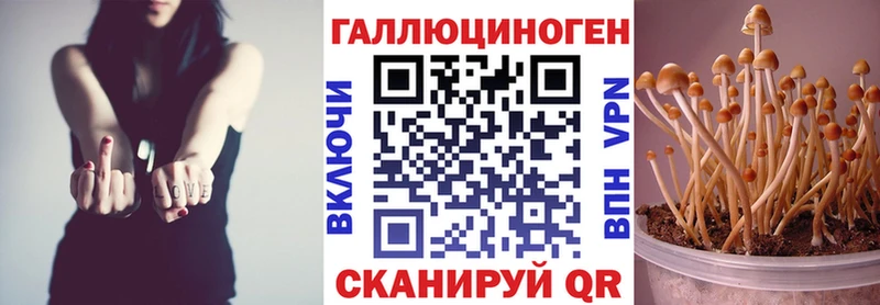 что такое Рыбное Псилоцибиновые грибы Magic Shrooms